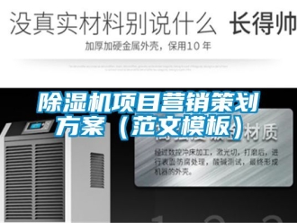 行業(yè)新聞除濕機(jī)項(xiàng)目營(yíng)銷策劃方案（范文模板）