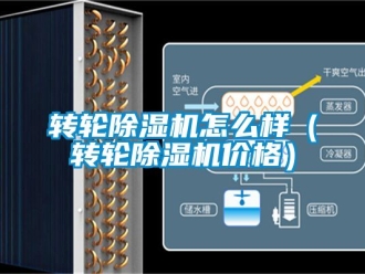 常見問題轉輪除濕機怎么樣（轉輪除濕機價格）