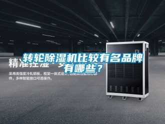 常見問題轉輪除濕機比較有名品牌有哪些？