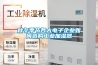空氣能烘干除濕機在烘烤香菇的應用