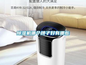 行業新聞除濕機哪個牌子好有哪些