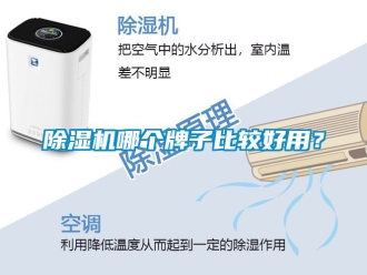 行業新聞除濕機哪個牌子比較好用？