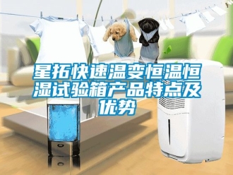 知識百科星拓快速溫變恒溫恒濕試驗箱產品特點及優勢