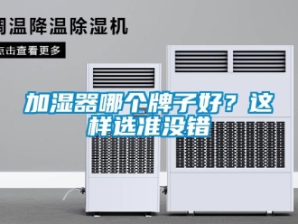 行業新聞加濕器哪個牌子好？這樣選準沒錯