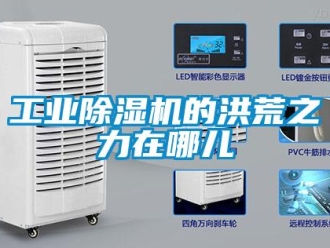 企業新聞工業除濕機的洪荒之力在哪兒