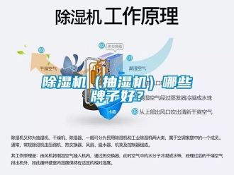 企業新聞除濕機（抽濕機）哪些牌子好？
