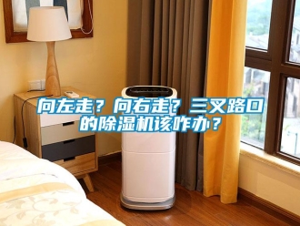 知識(shí)百科向左走？向右走？三叉路口的除濕機(jī)該咋辦？
