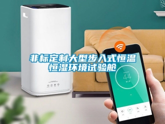知識百科非標定制大型步入式恒溫恒濕環境試驗艙