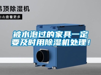 企業新聞被水泡過的家具一定要及時用除濕機處理！