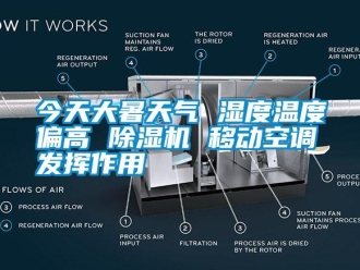 行業(yè)新聞今天大暑天氣 濕度溫度偏高 除濕機(jī) 移動空調(diào)發(fā)揮作用