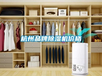企業新聞杭州品牌除濕機價格