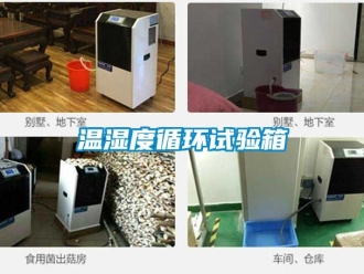 企業新聞溫濕度循環試驗箱
