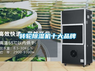 常見問題轉輪除濕機十大品牌