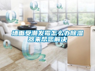 常見問題墻面受潮發霉怎么辦除濕器來幫您解決