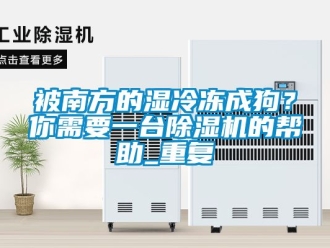 企業新聞被南方的濕冷凍成狗？你需要一臺除濕機的幫助_重復