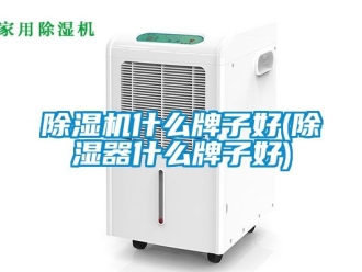 行業(yè)新聞除濕機什么牌子好(除濕器什么牌子好)