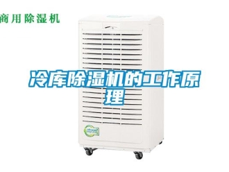 行業新聞冷庫除濕機的工作原理