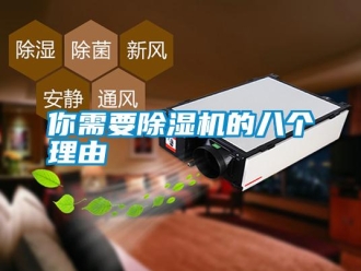 行業新聞你需要除濕機的八個理由