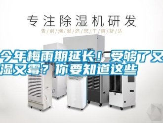 行業(yè)新聞今年梅雨期延長！受夠了又濕又霉？你要知道這些