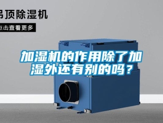 常見問題加濕機(jī)的作用除了加濕外還有別的嗎？