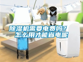 行業(yè)新聞除濕機(jī)需要電費(fèi)嗎？ 怎么用才能省電呢