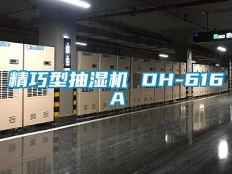 企業新聞精巧型抽濕機 DH-616A