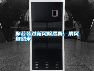 行業新聞你若裝對新風除濕機，清風自然來