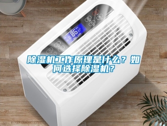 行業(yè)新聞除濕機(jī)工作原理是什么？如何選擇除濕機(jī)？