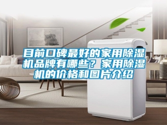 企業新聞目前口碑最好的家用除濕機品牌有哪些？家用除濕機的價格和圖片介紹