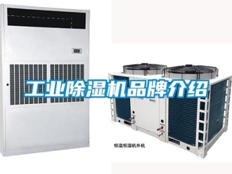 企業新聞工業除濕機品牌介紹