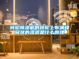 常見問題轉輪除濕機的轉輪上布滿蜂窩狀的流道是什么原理