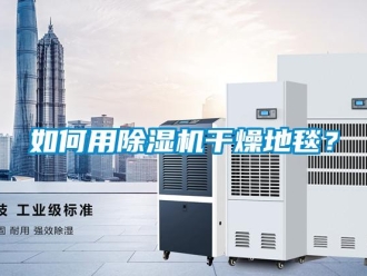 常見問題如何用除濕機干燥地毯？