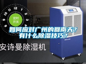 常見問題如何應對廣州的回南天？有什么除濕技巧？