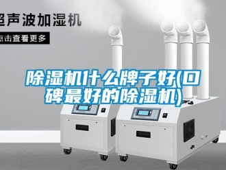 行業(yè)新聞除濕機什么牌子好(口碑最好的除濕機)