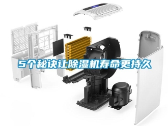 常見問題5個秘訣讓除濕機壽命更持久