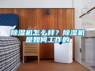 行業新聞除濕機怎么樣？除濕機是如何工作的