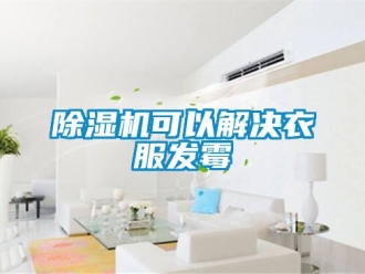 行業新聞除濕機可以解決衣服發霉