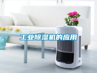 企業新聞工業除濕機的應用