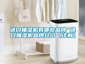 企業新聞進口抽濕機有哪些品牌 進口抽濕機品牌介紹【詳解】