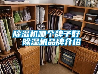 企業(yè)新聞除濕機哪個牌子好  除濕機品牌介紹