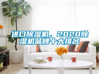 企業(yè)新聞進(jìn)口除濕機(jī)，2020除濕機(jī)品牌十大排名
