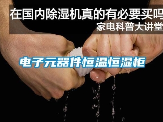知識百科電子元器件恒溫恒濕柜