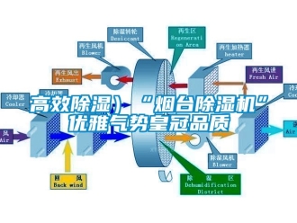 行業新聞高效除濕）“煙臺除濕機”優雅氣勢皇冠品質