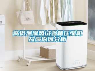 常見問題高低溫濕熱試驗箱壓縮機(jī)故障原因分析