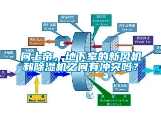 常見問題問上帝，地下室的新風機和除濕機之間有沖突嗎？