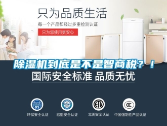 企業新聞除濕機到底是不是智商稅？！