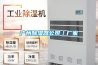 家用除濕機什么價格？