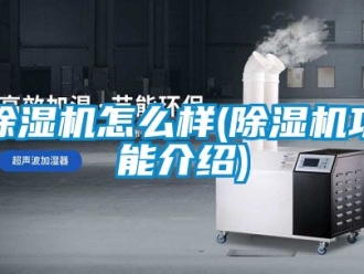 行業新聞除濕機怎么樣(除濕機功能介紹)