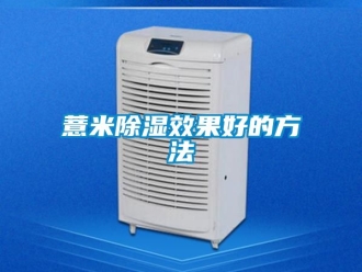 企業新聞薏米除濕效果好的方法