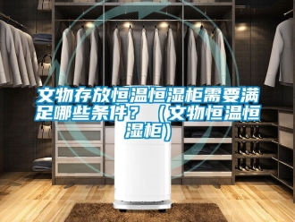 知識百科文物存放恒溫恒濕柜需要滿足哪些條件？（文物恒溫恒濕柜）